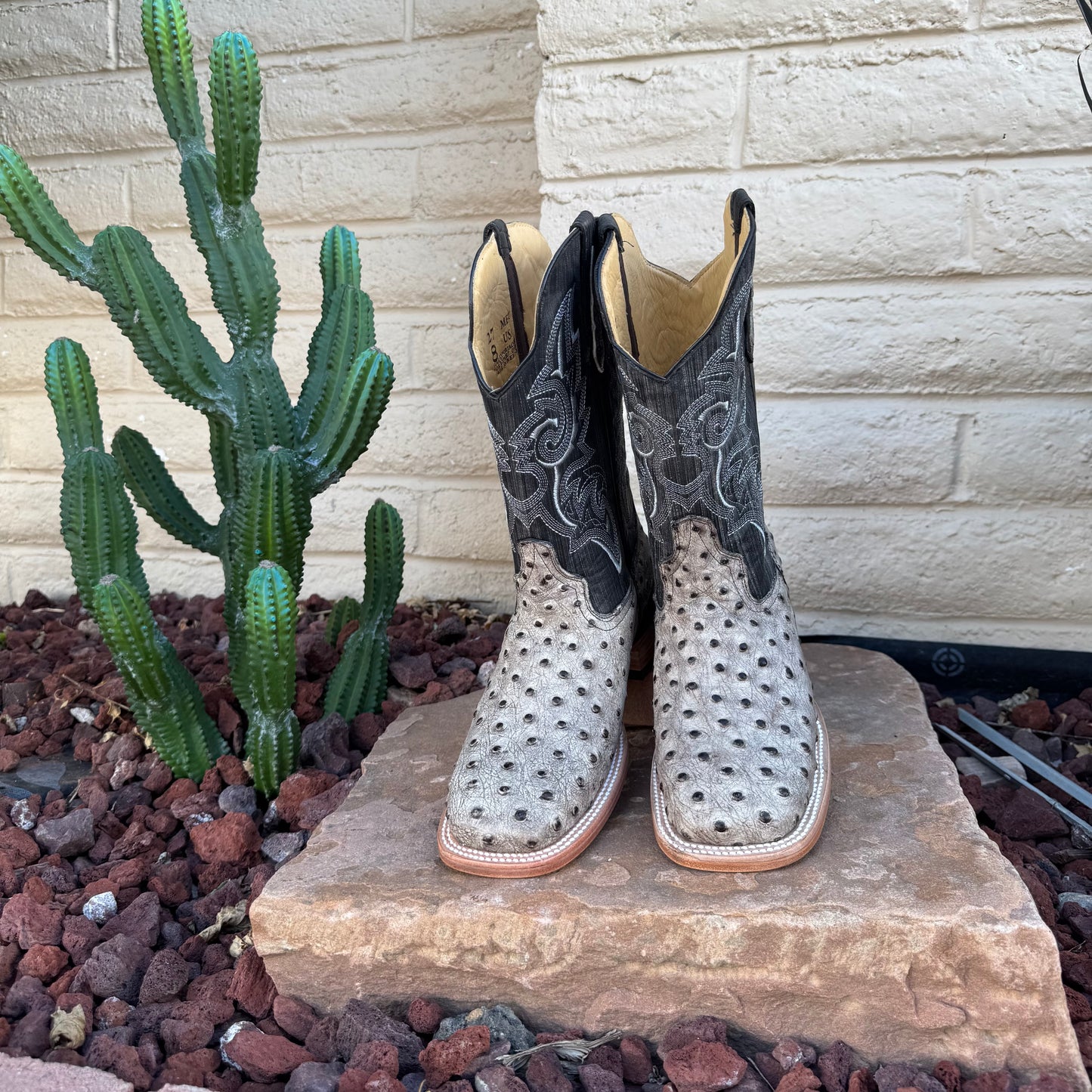 Monarch Ostrich Boots-Square Toe